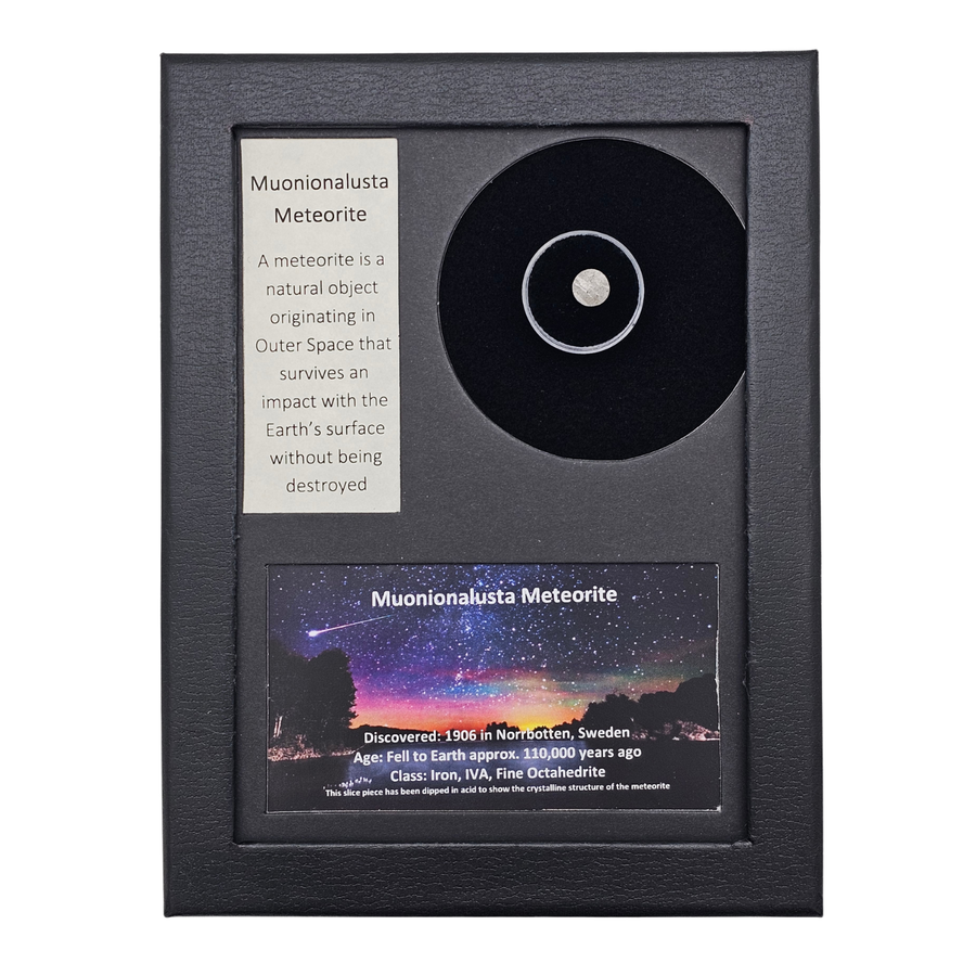 Muonionalusta Meteorite Display