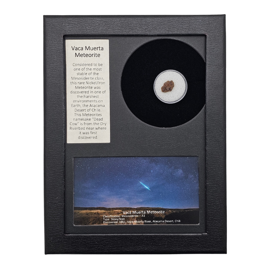 Vaca Muerta Meteorite Display