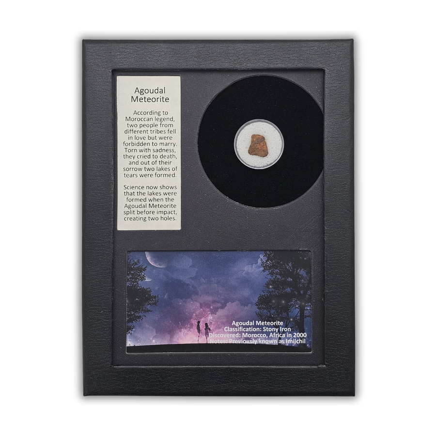 Agoudal Meteorite Display