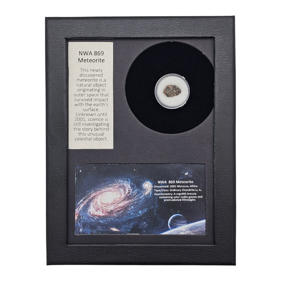 NWA 869 Meteorite Display