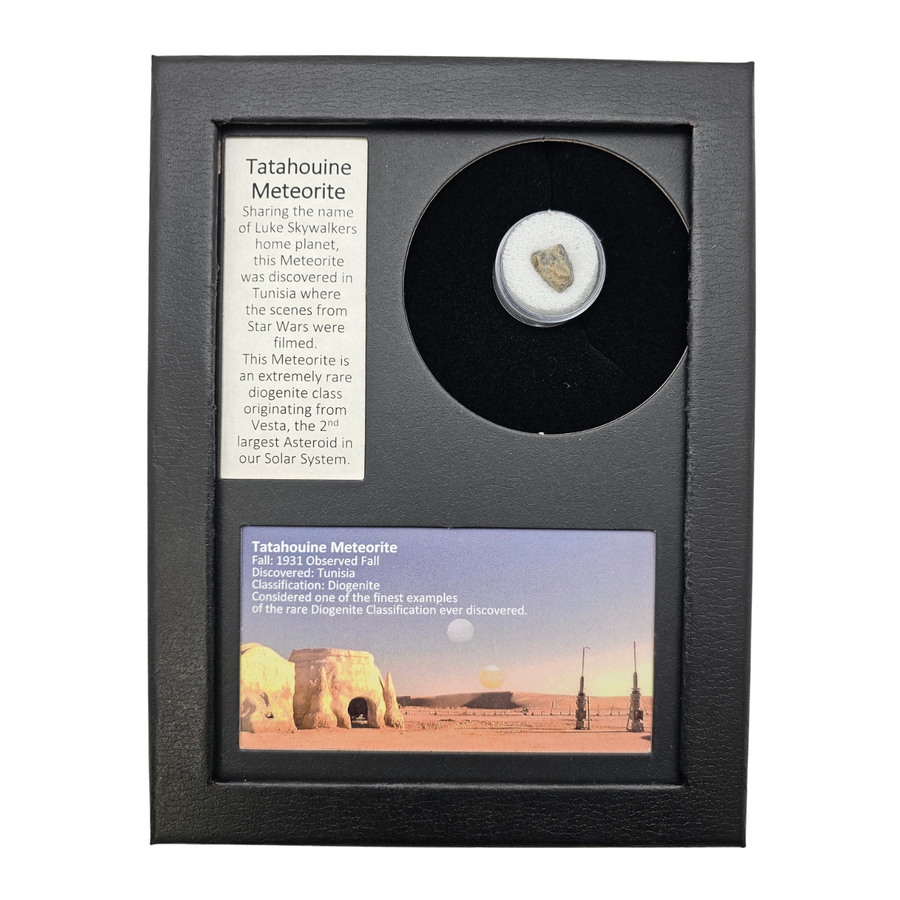 Tatahouine Meteorite Display