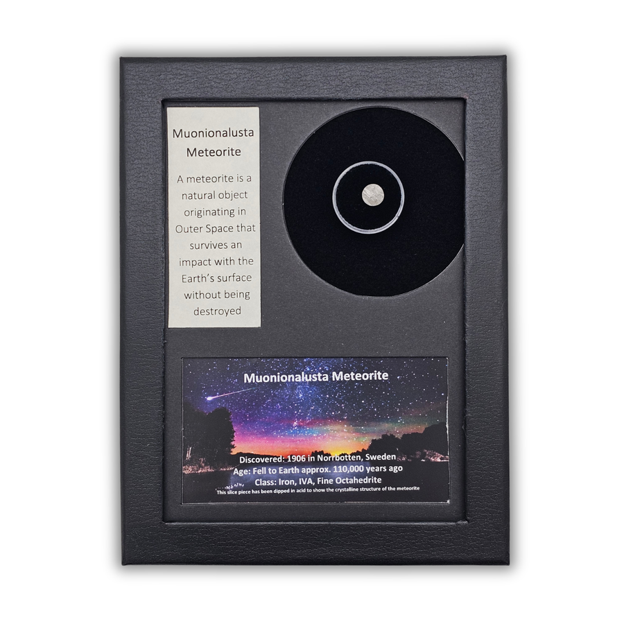 Muonionalusta Meteorite Display