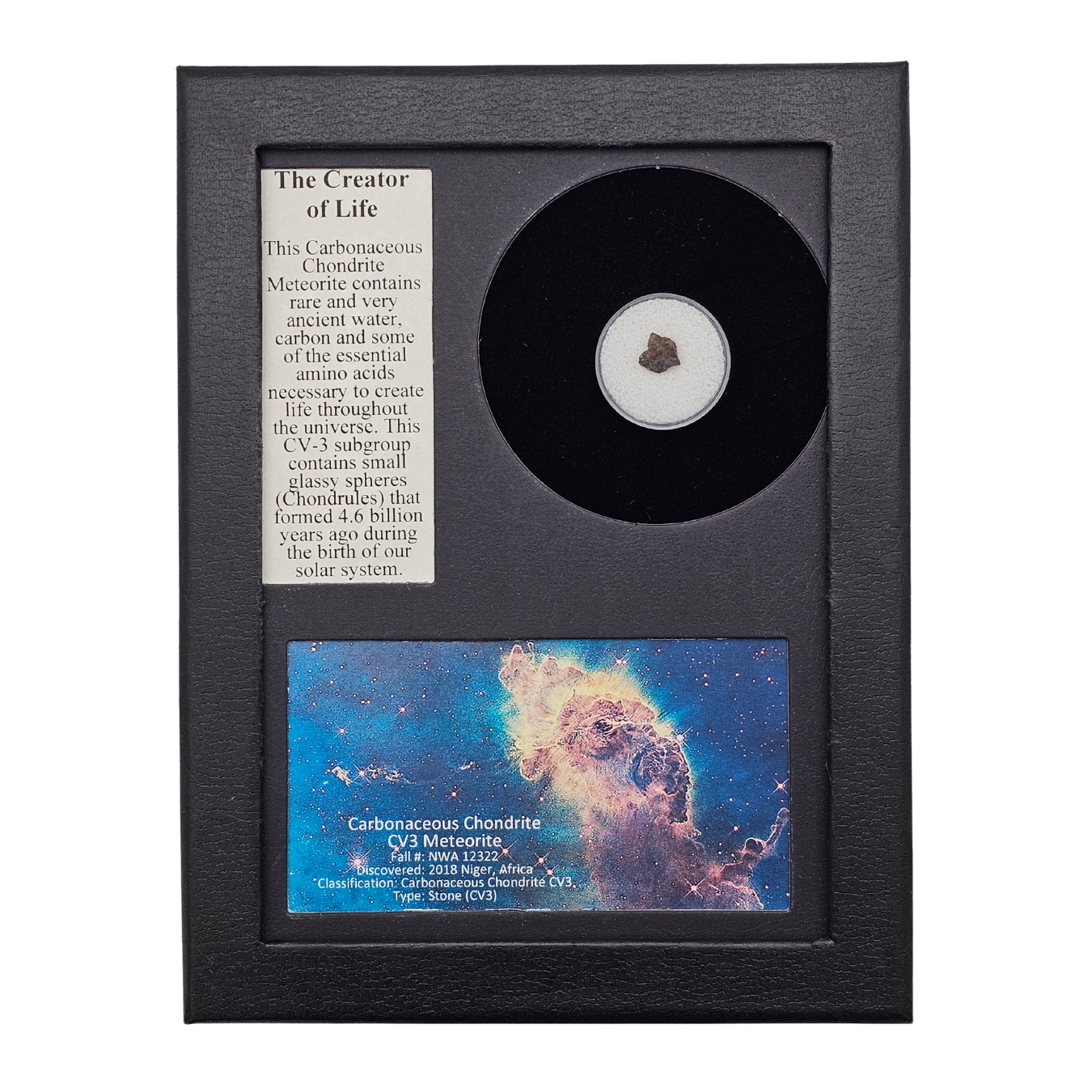 Carbonaceous Chondrite (CV3) Meteorite Display