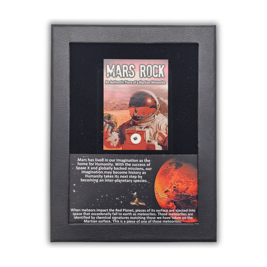 Real Martian Meteorite Display