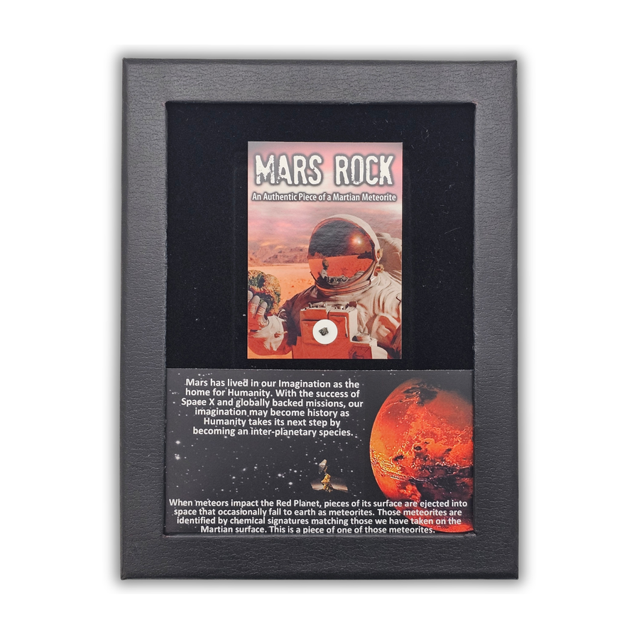 Martian Meteorite Display