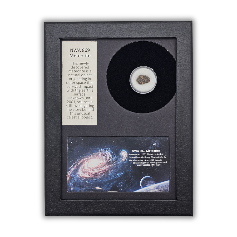 NWA 869 Meteoriten-Display