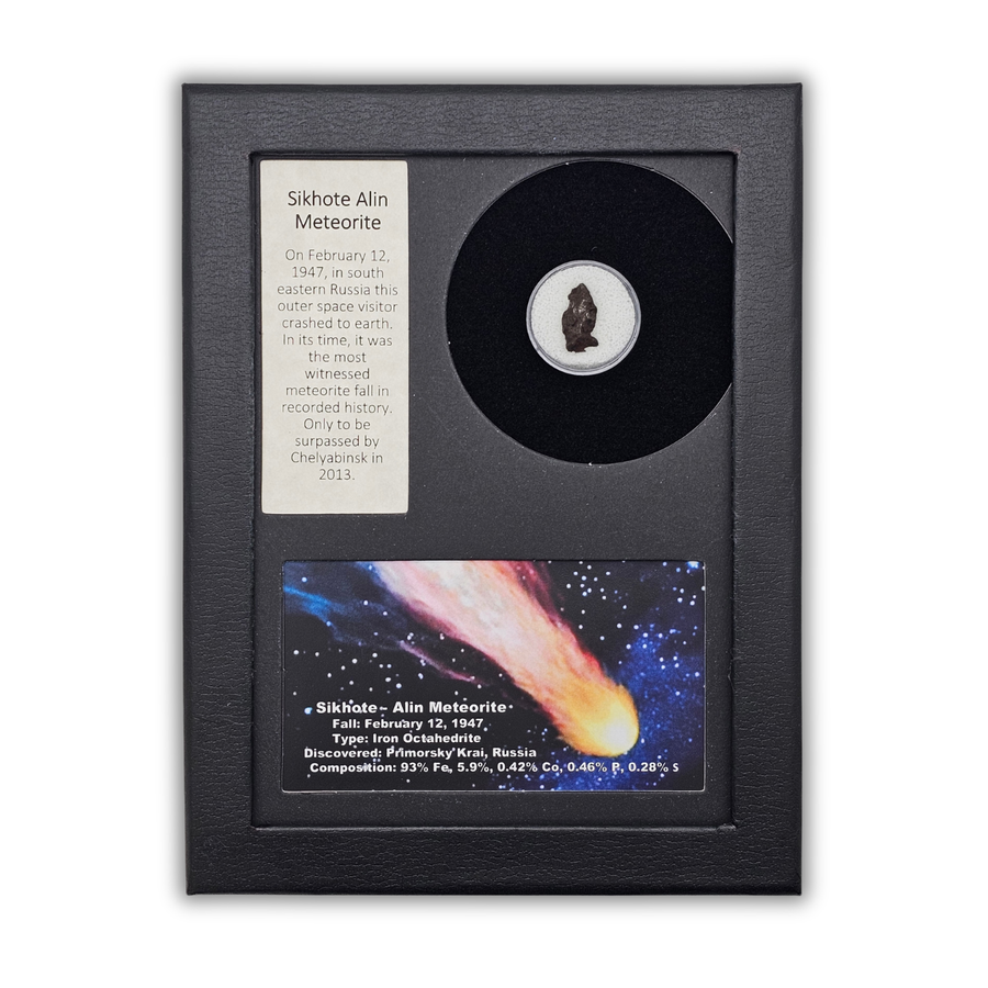 Sikhote-Alin Meteorite Display