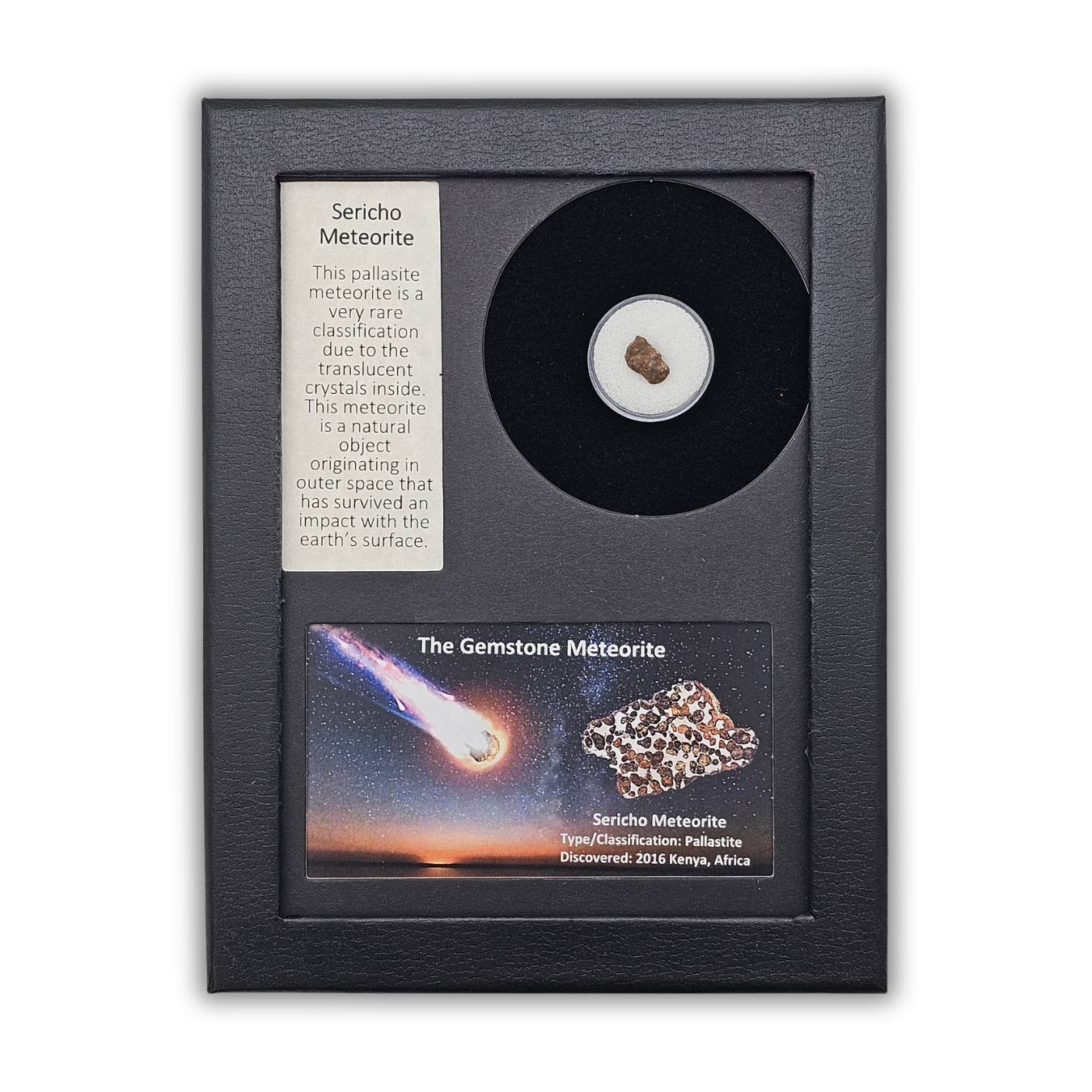 Sericho Pallasit Meteoritenausstellung