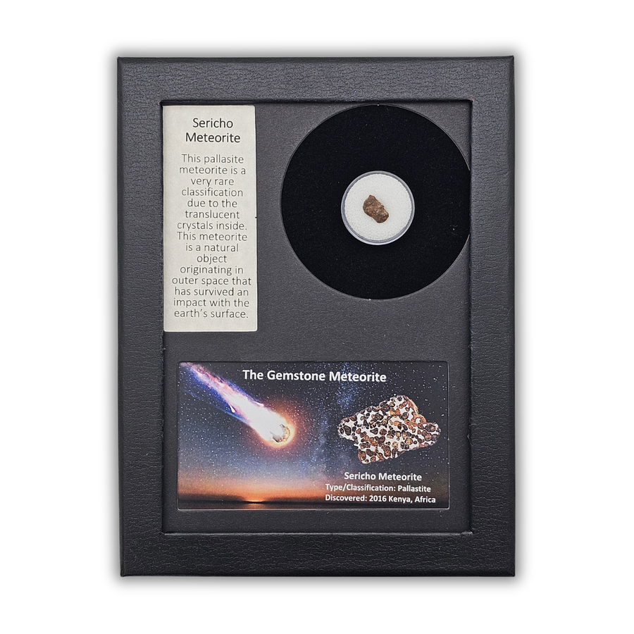 Sericho Pallasite Meteorite Display