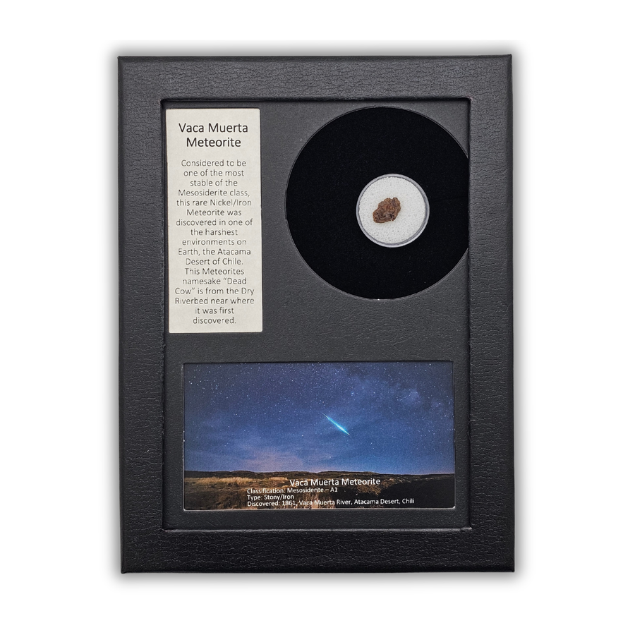 Vaca Muerta Meteorite Display