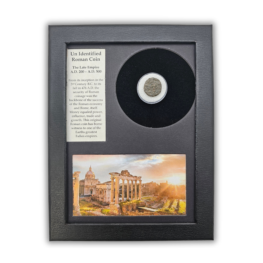 Roman Coin Display