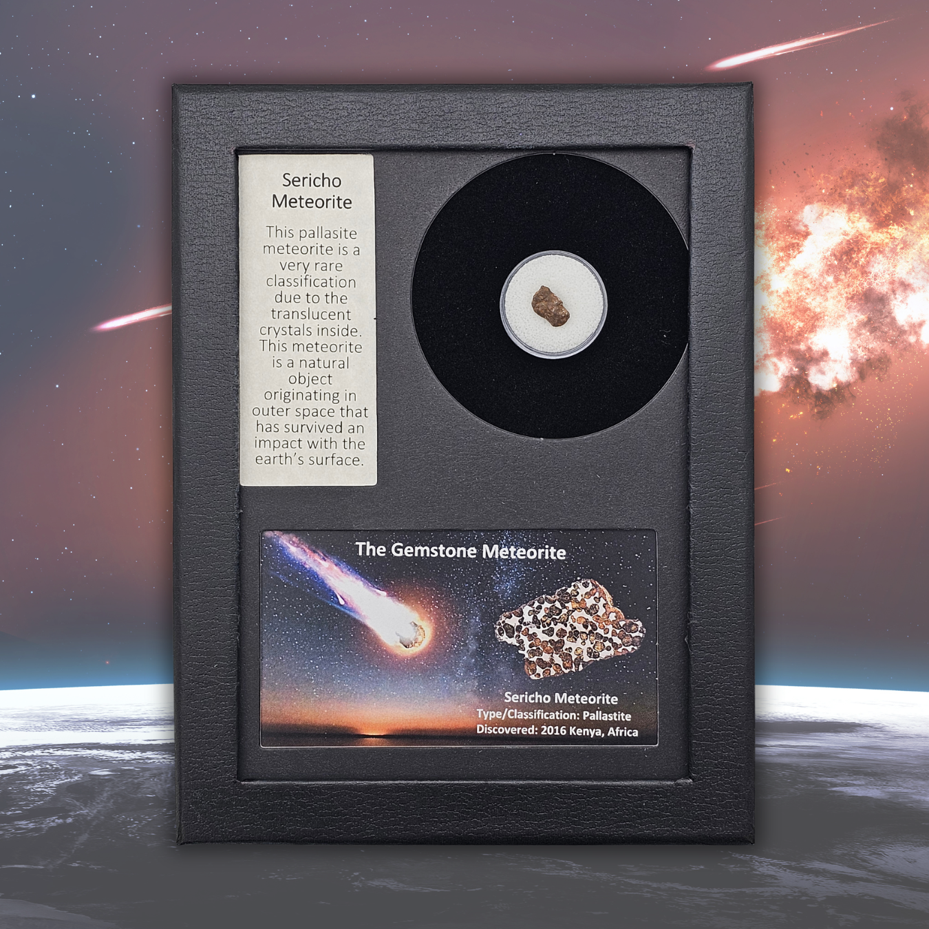 Sericho Pallasit Meteoritenausstellung