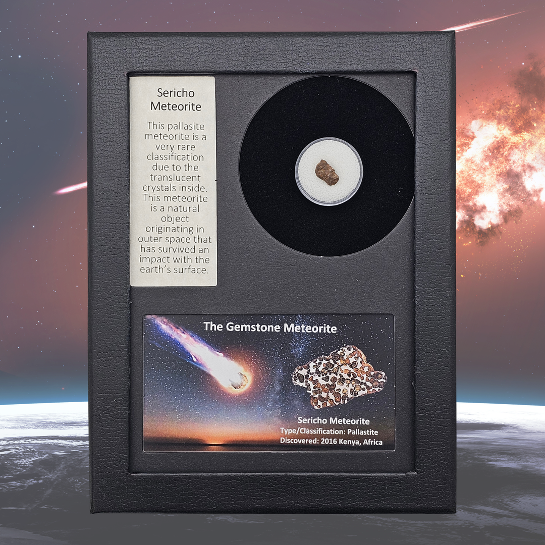 Sericho Pallasite Meteorite Display