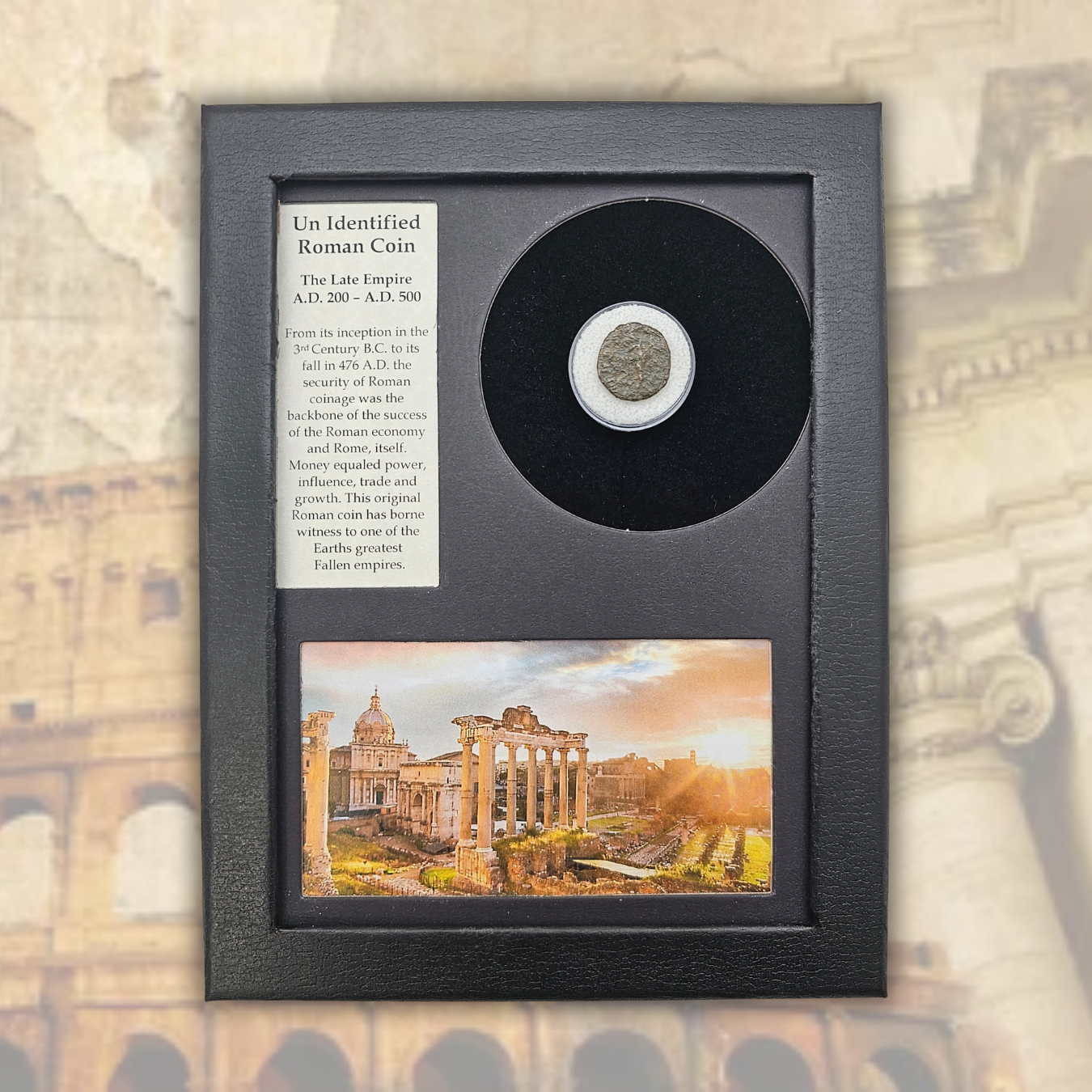 Roman Coin Display
