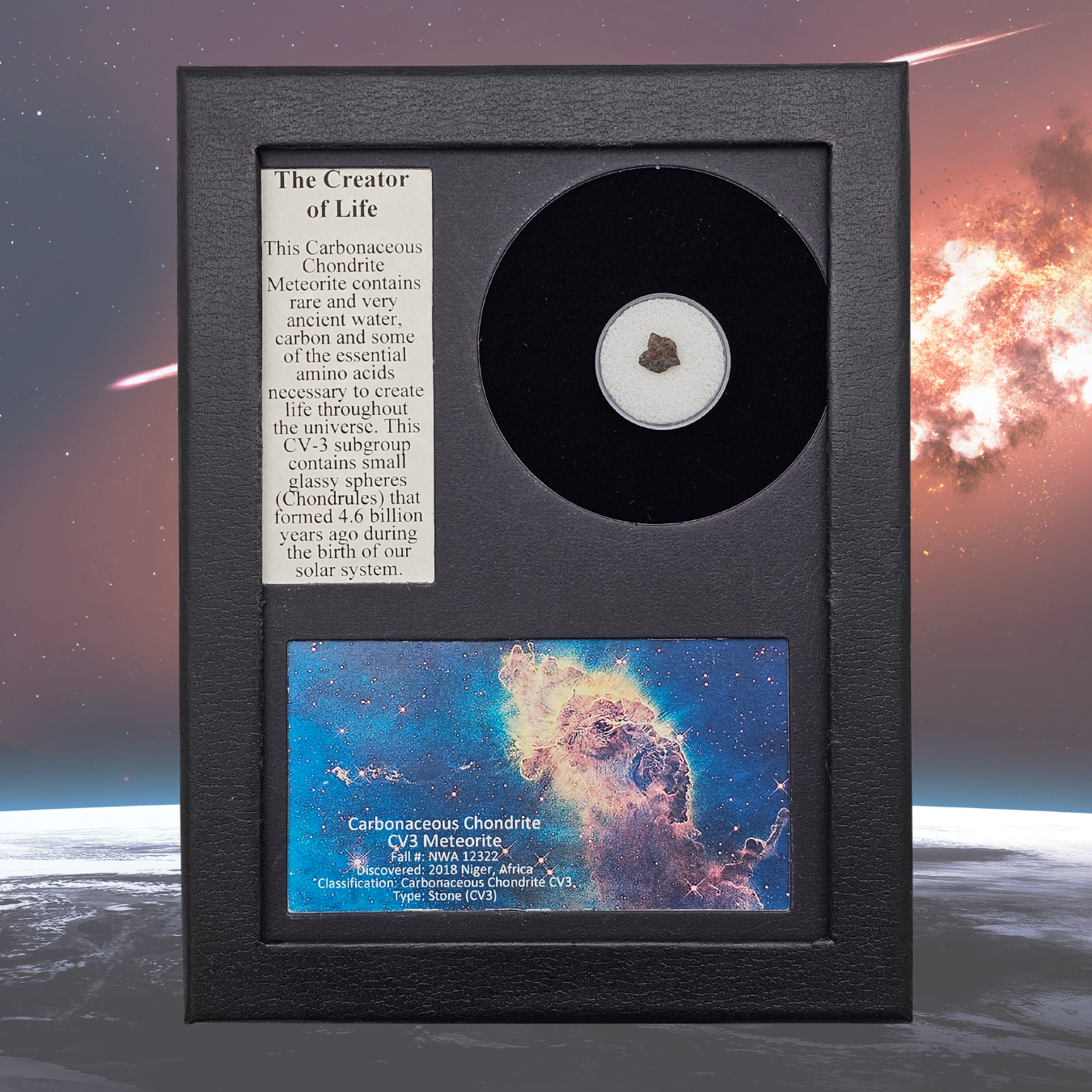 Carbonaceous Chondrite (CV3) Meteorite Display