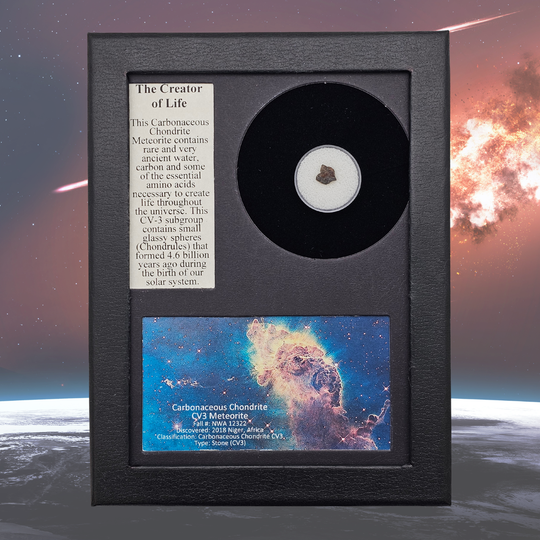 Carbonaceous Chondrite (CV3) Meteorite Display