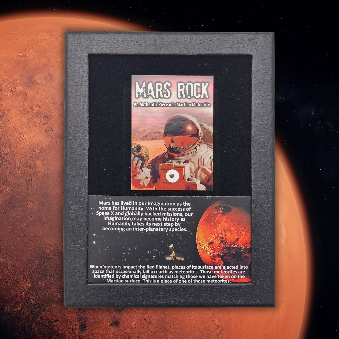 Martian Meteorite Display