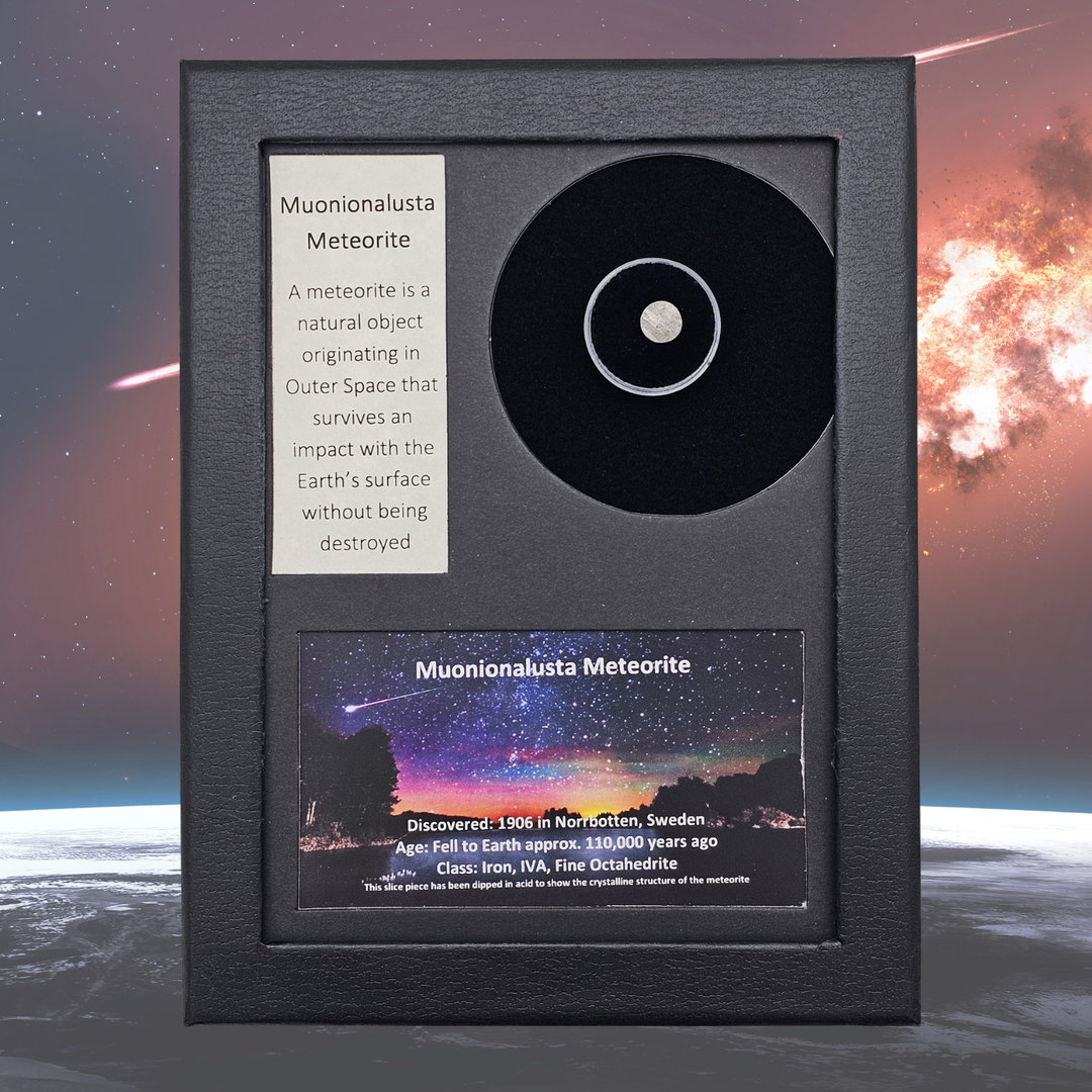 Muonionalusta Meteorite Display
