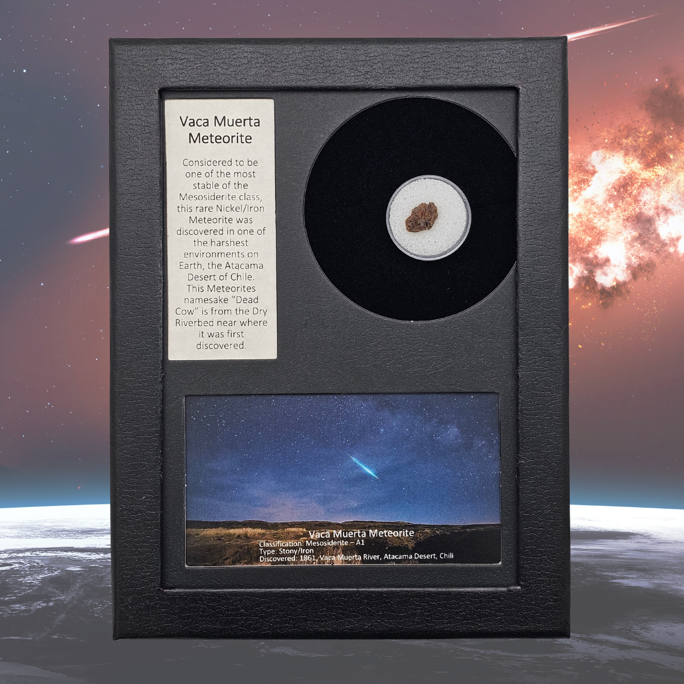 Vaca Muerta Meteorite Display