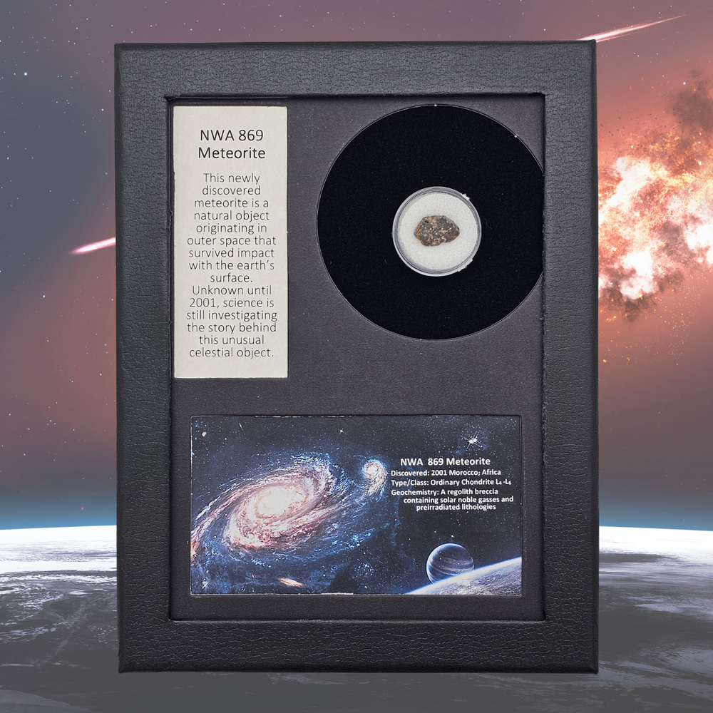NWA 869 Meteoriten-Display