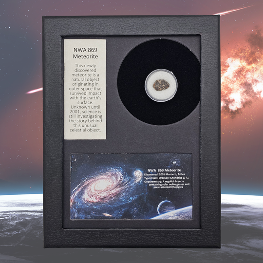 NWA 869 Meteorite Display
