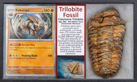 Pokémon trading card featuring Kabutoops with a trilobite fossil next to it.