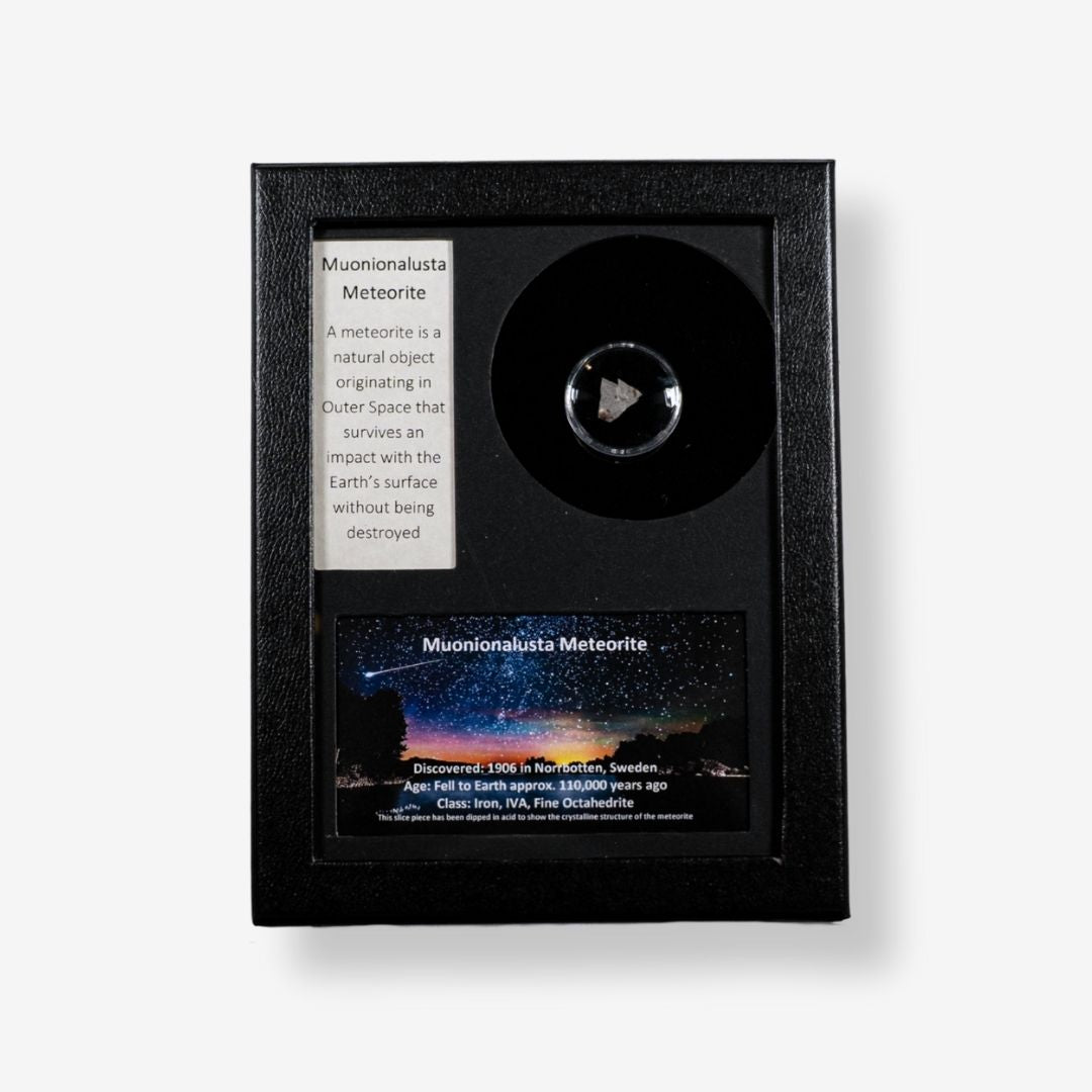 Muonionalusta Meteorite in a black display case with descriptive text on a white background