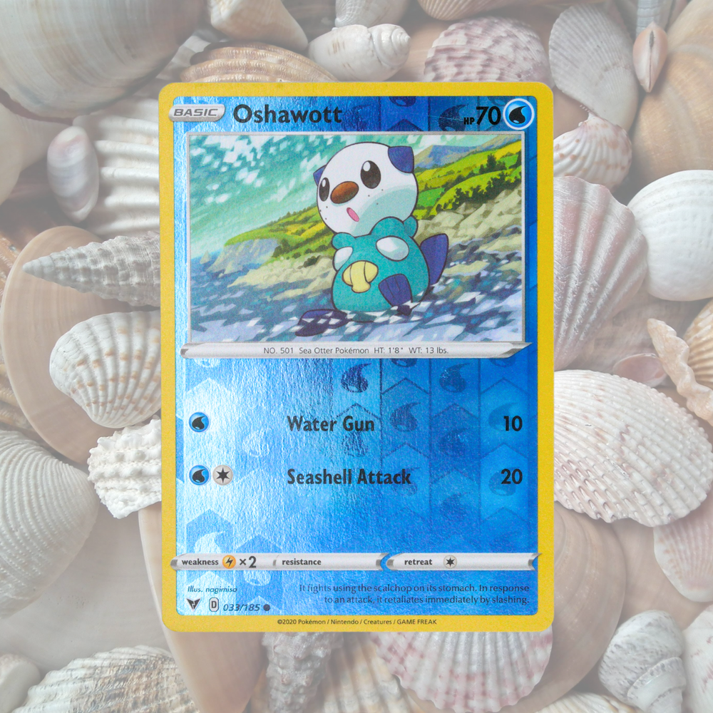 Oshawott Pokémon Fossil Display