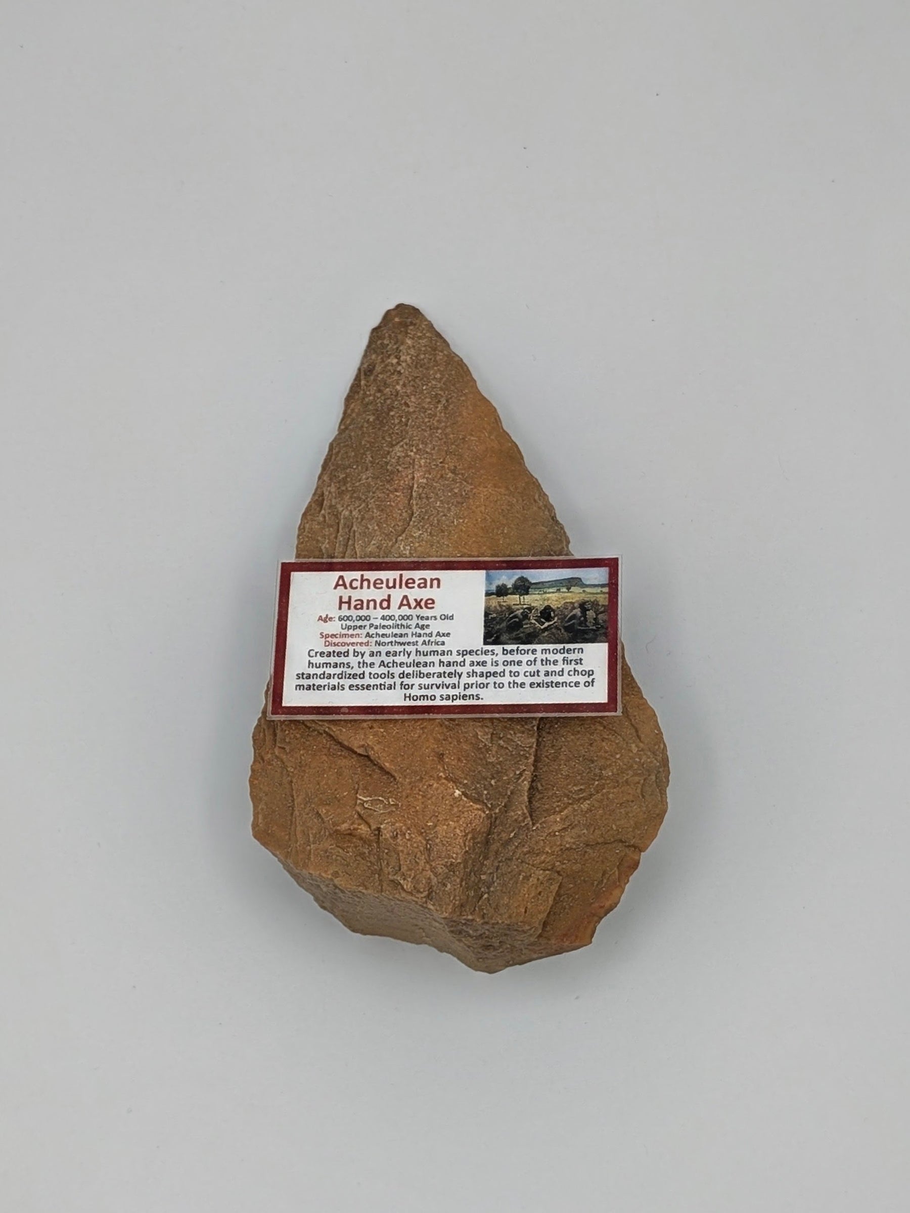 Acheulean Hand Axe – Northwestern Africa – 600,000–400,000 Years Old
