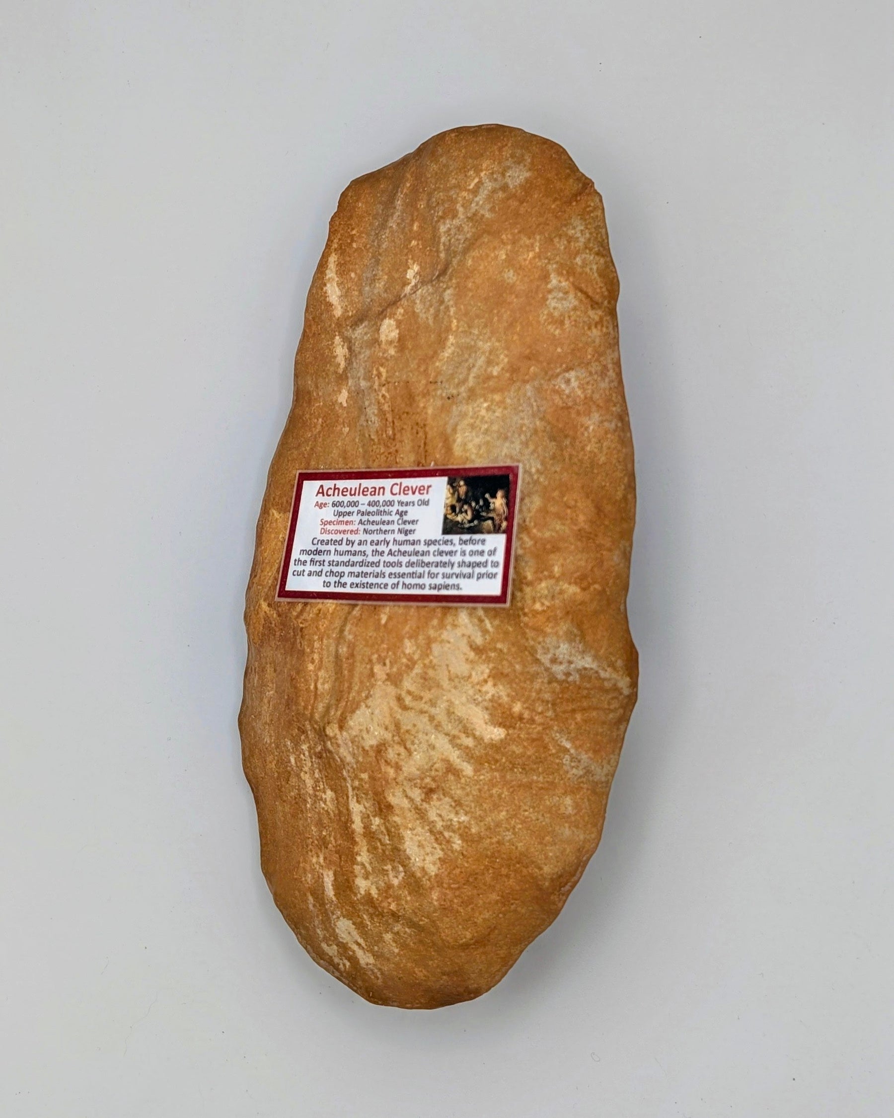 Acheulean Stone Cleaver – Northern Niger – 600,000–400,000 Years Old