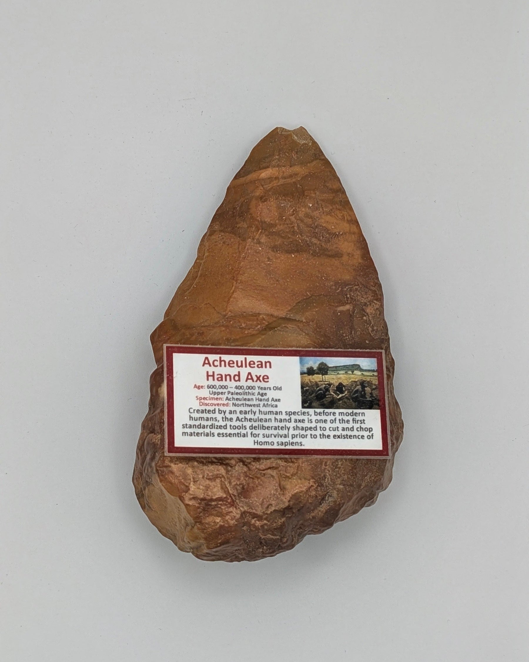 Acheulean Hand Axe – Northwestern Africa – 600,000–400,000 Years Old