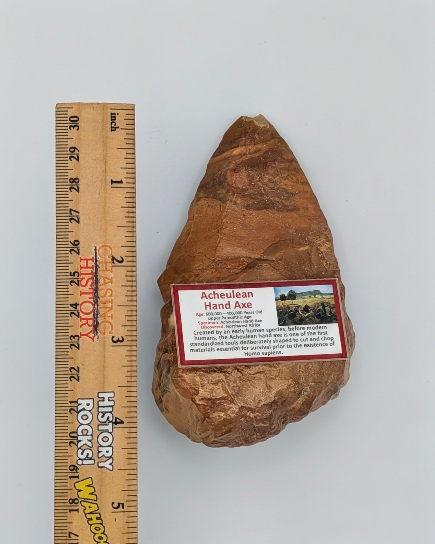 Acheulean Hand Axe – Northwestern Africa – 600,000–400,000 Years Old