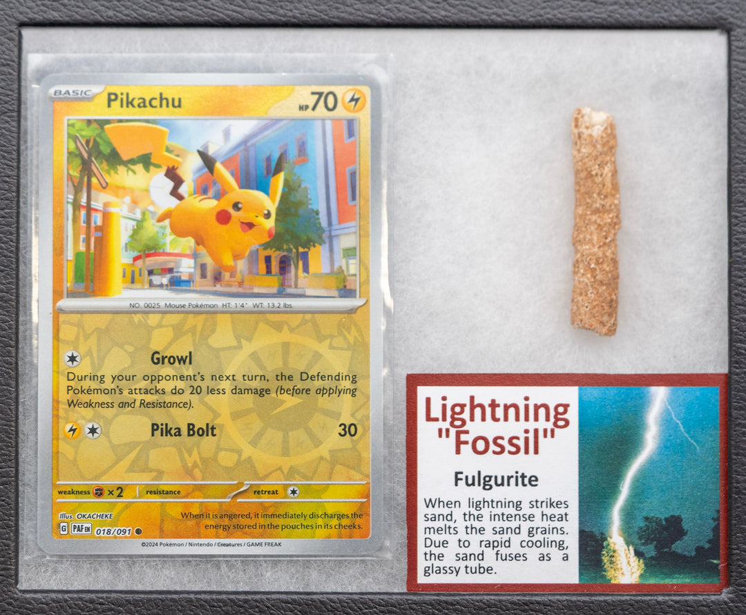 Pokémon trading card featuring Pikachu and a small rock labeled 'Lightning Fossil' on a gray background.
