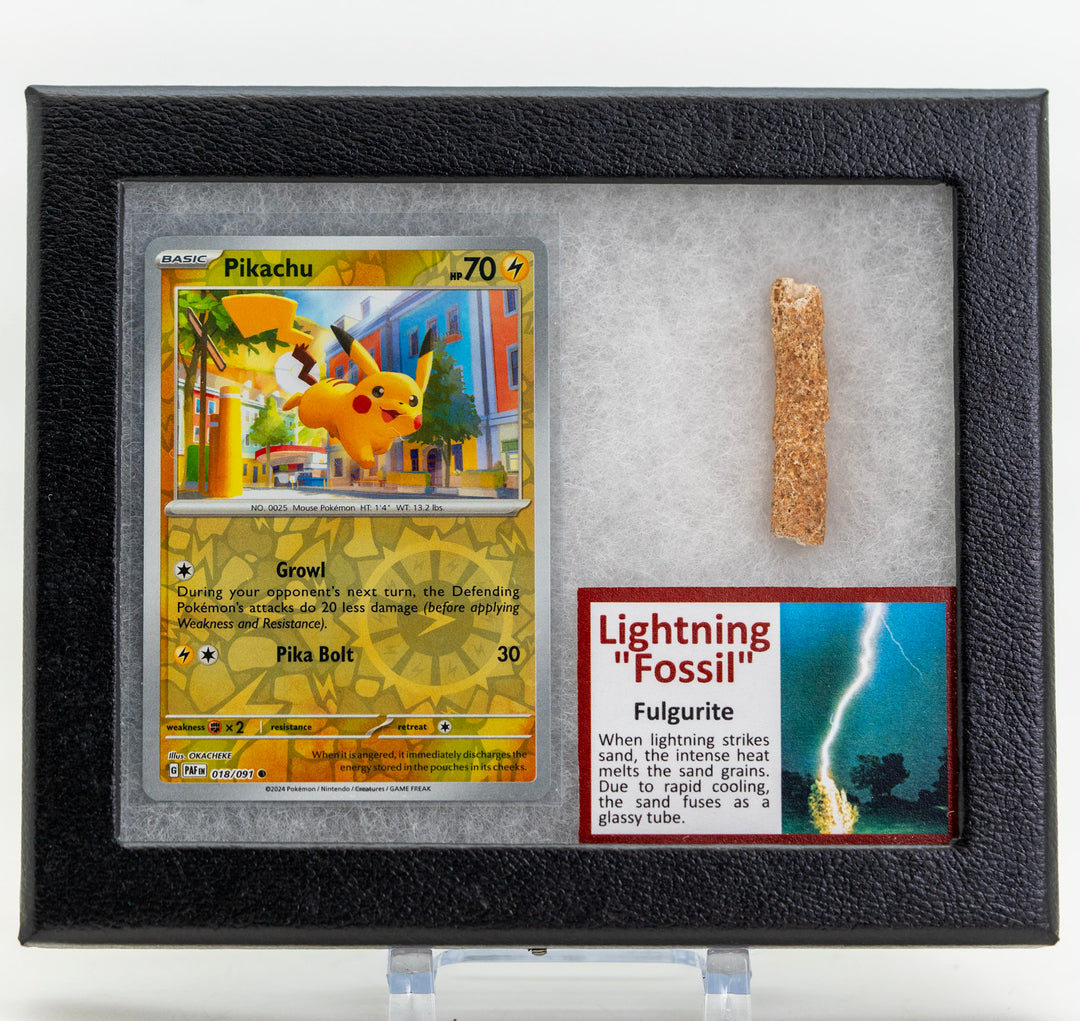 Framed display with a Pikachu trading card and a Lightning Fossil specimen.