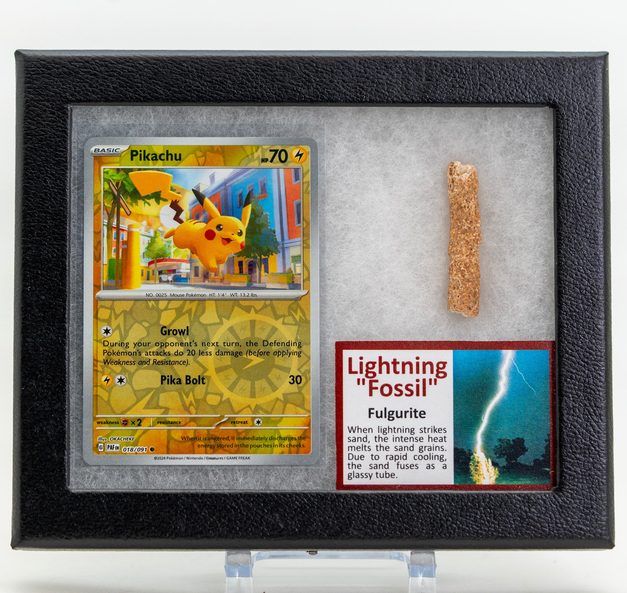 Framed display with a Pikachu trading card and a Lightning Fossil specimen.