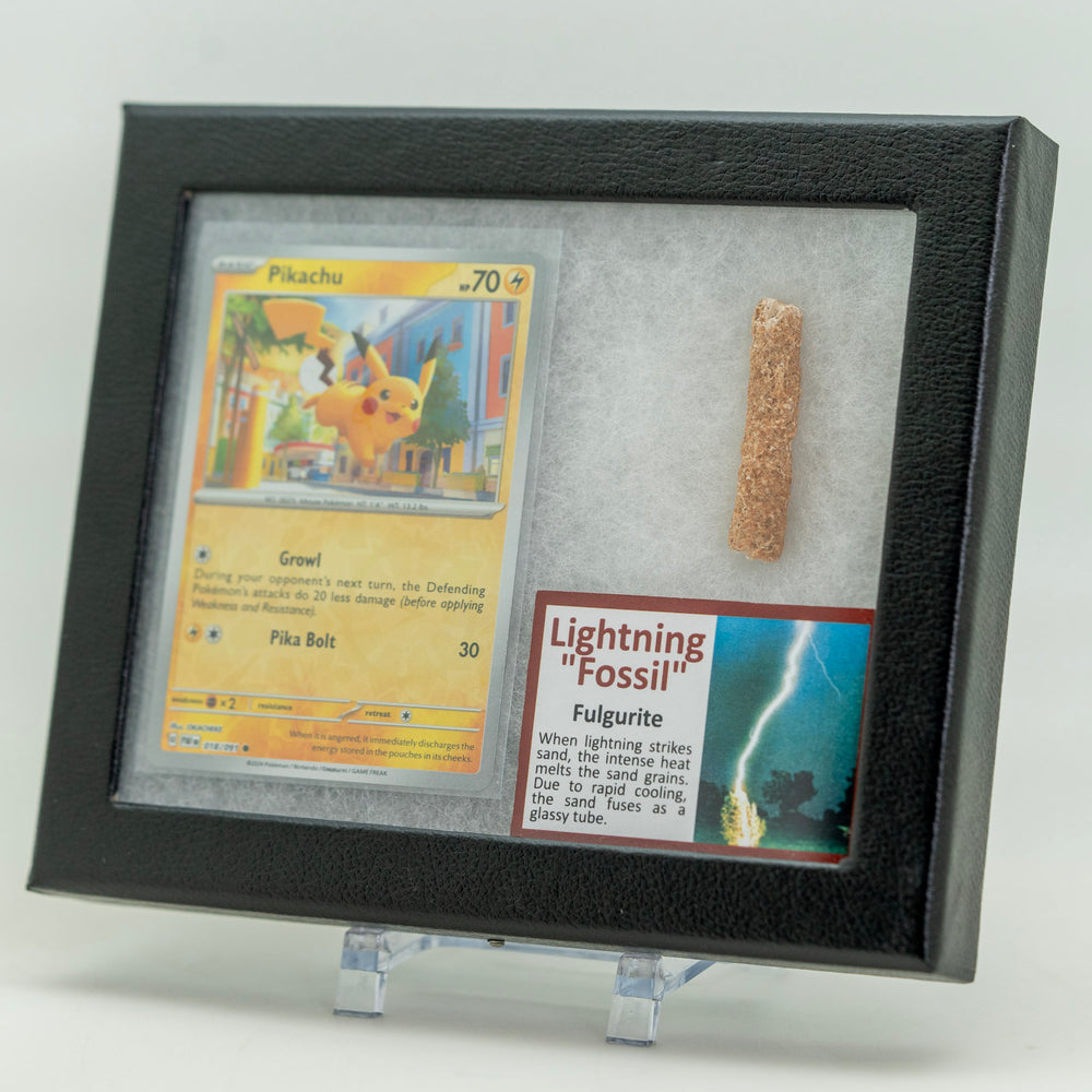 Framed display of a trading card featuring Pikachu and a 'Lightning Fossil' card with a small rock.