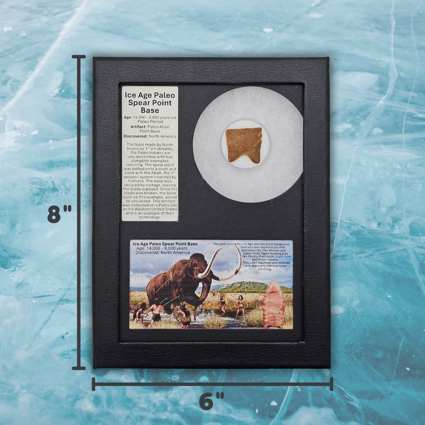 Ice Age Paleo Spear Point Base Display