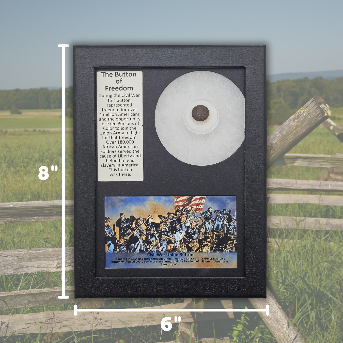 Civil War Union Army Button Display