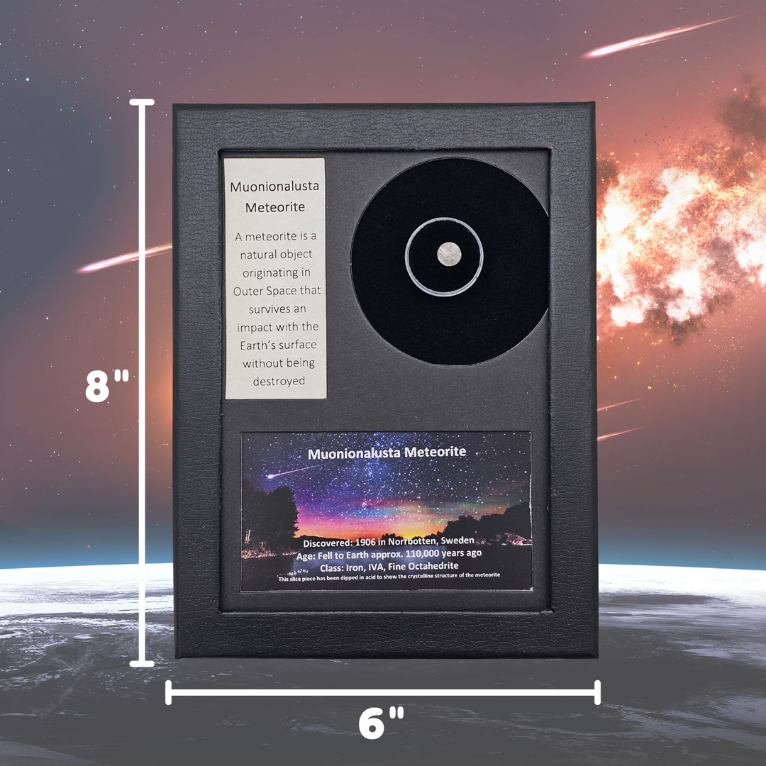 Muonionalusta Meteorite Display