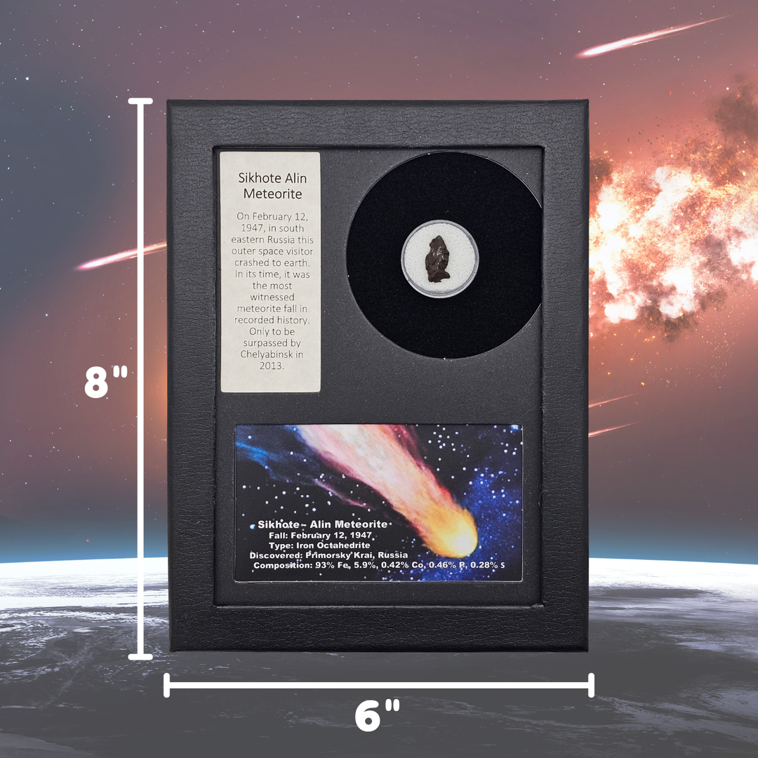 Sikhote-Alin Meteorite Display