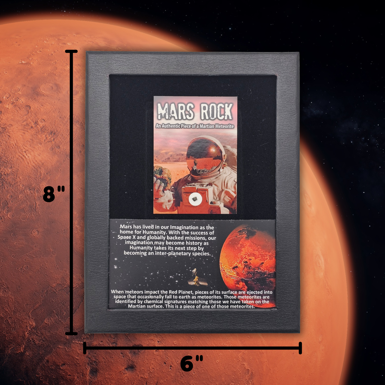 Martian Meteorite Display