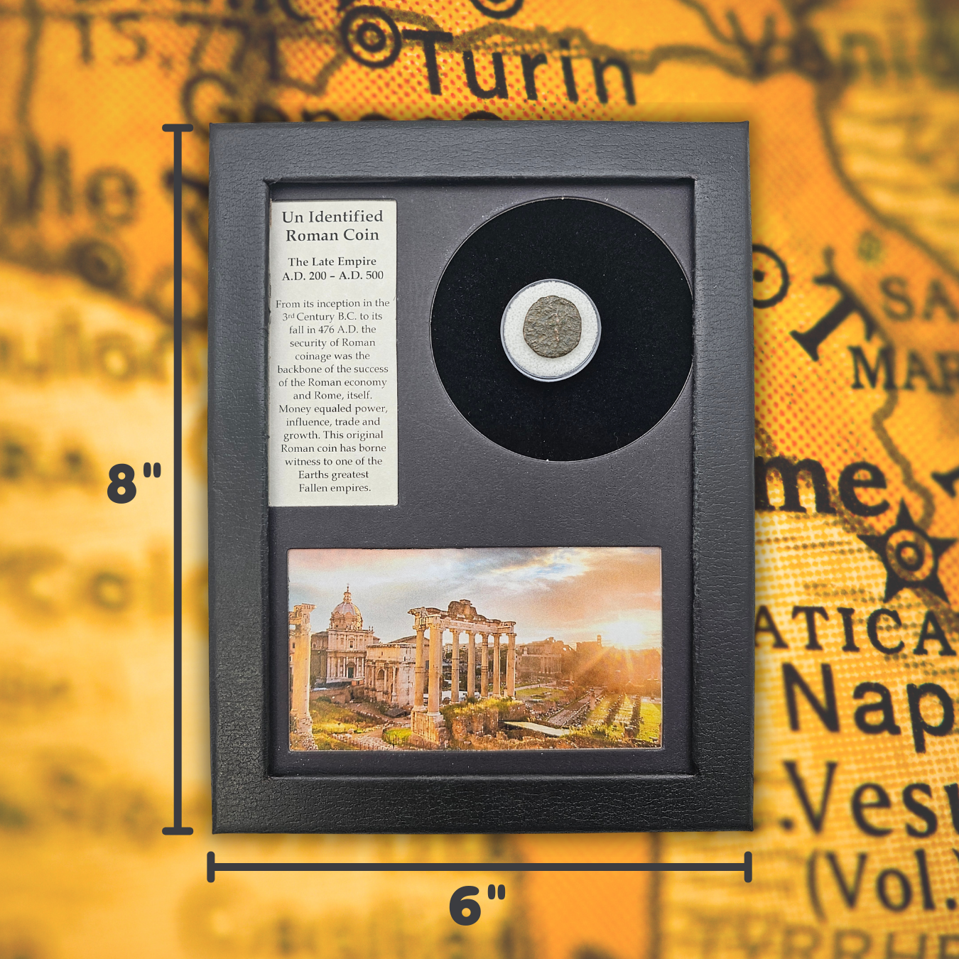 Roman Coin Display