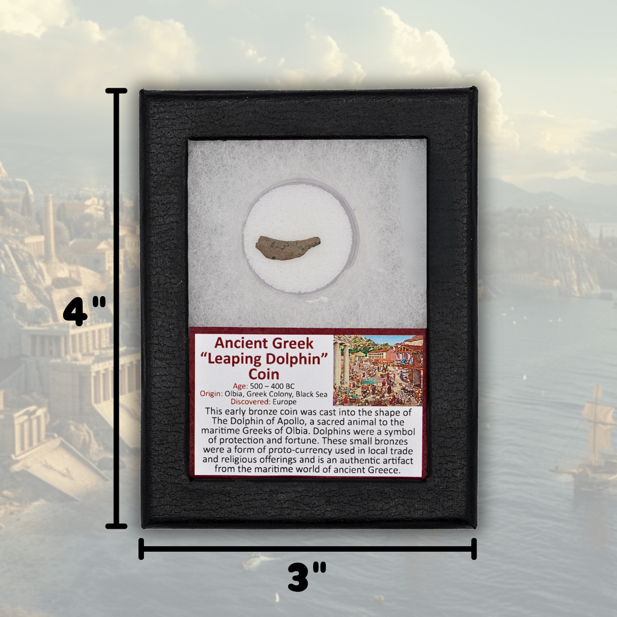 Ancient Greek "Leaping Dolphin" Coin Display