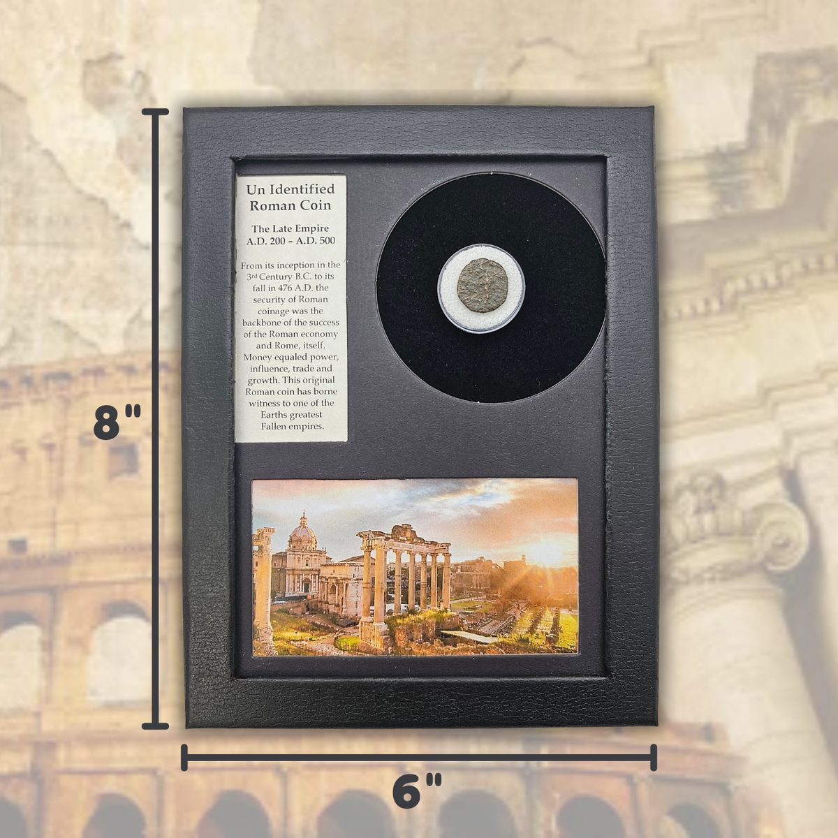 Roman Coin Display