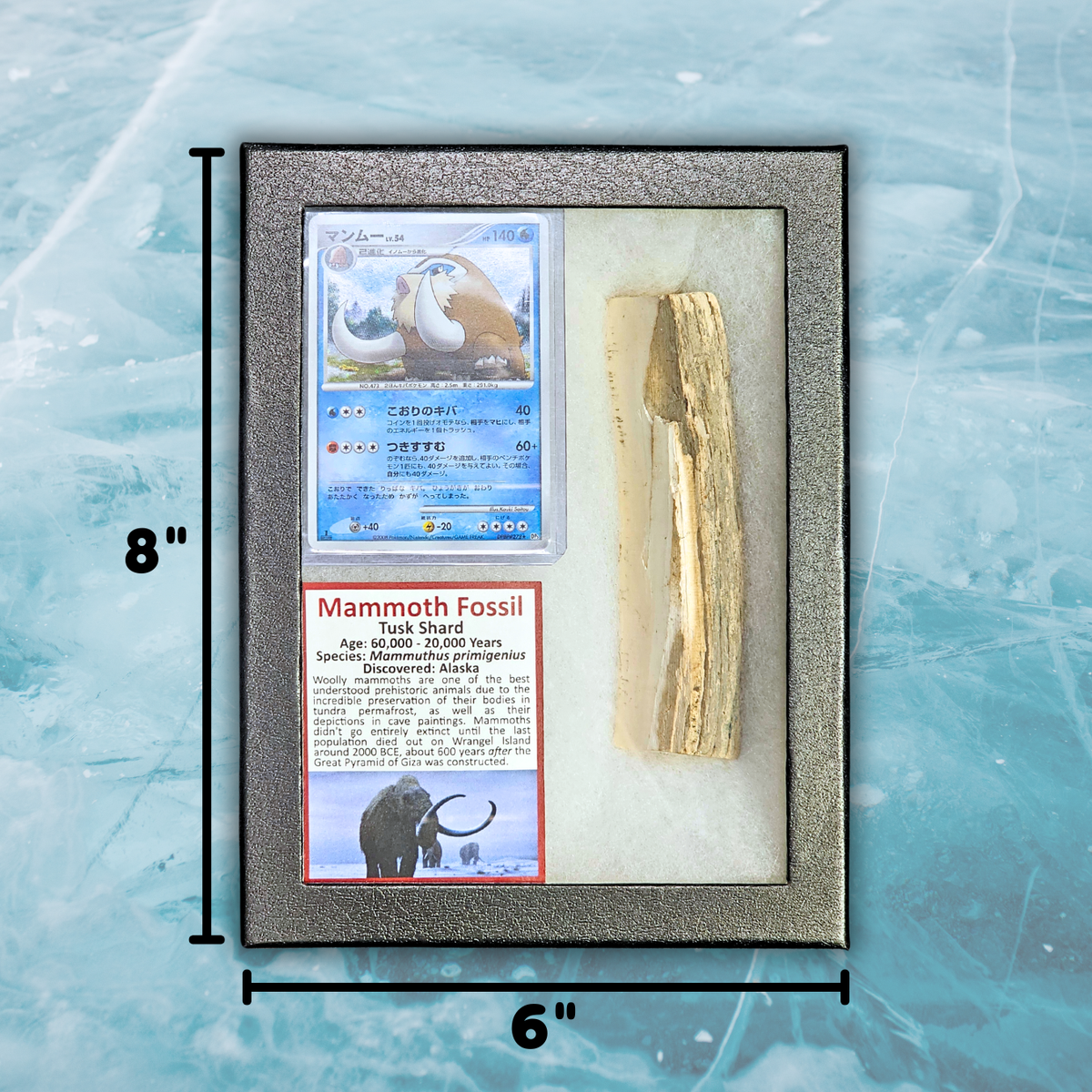 Pokémon Fossil Display - Mamoswine with Mammoth Tusk Shard