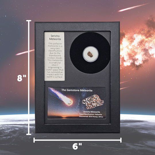 Sericho Pallasite Meteorite Display