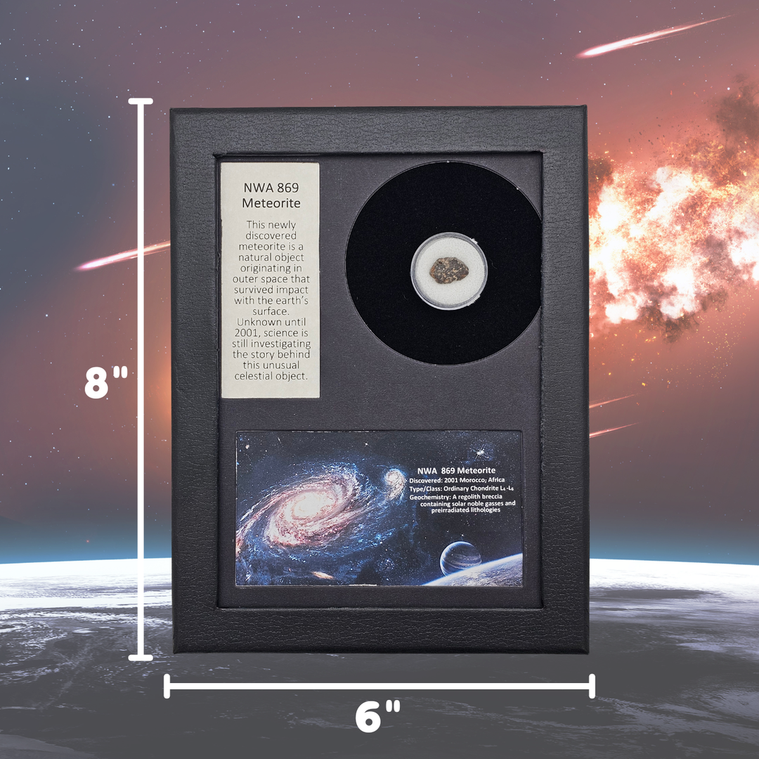 NWA 869 Meteorite Display