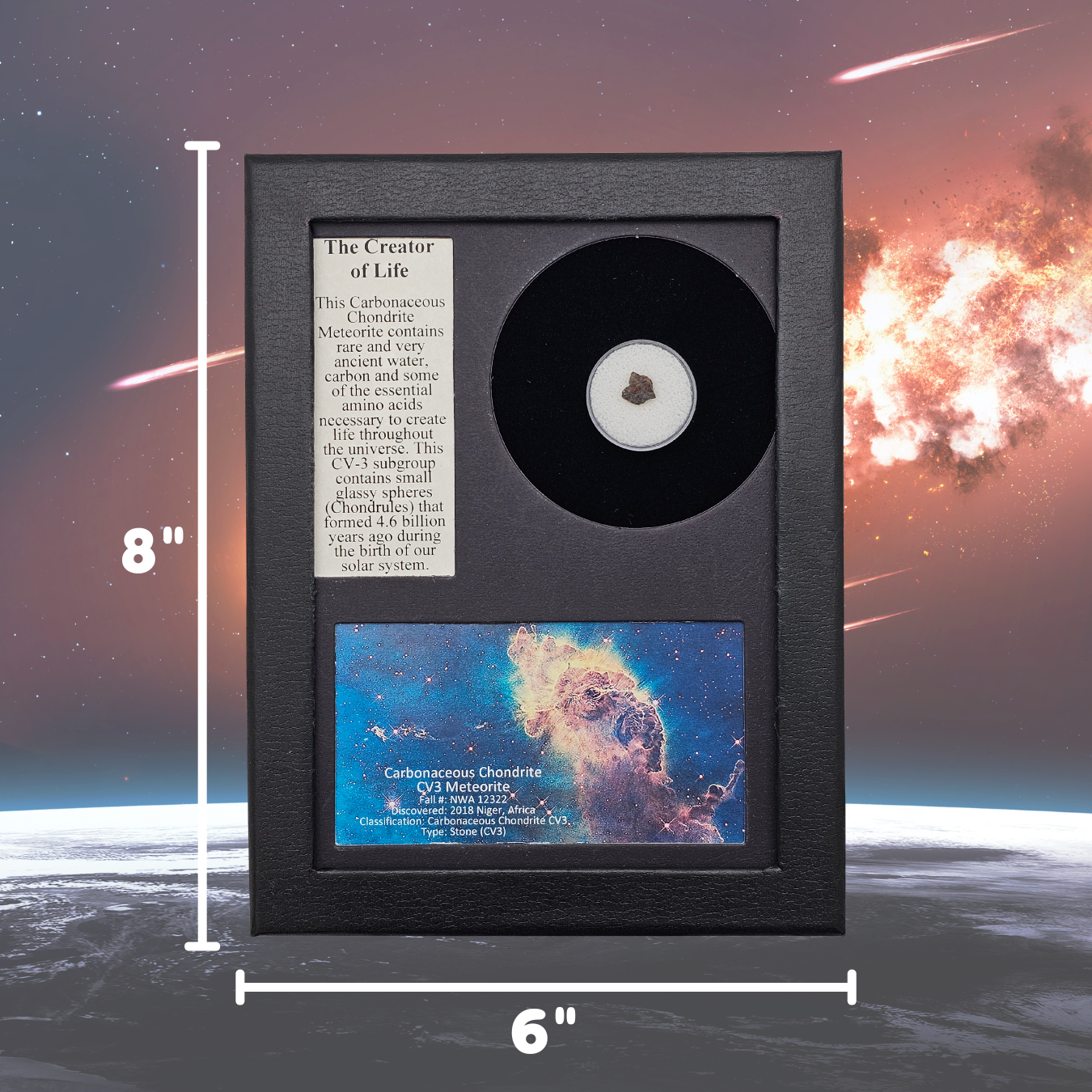 Carbonaceous Chondrite (CV3) Meteorite Display