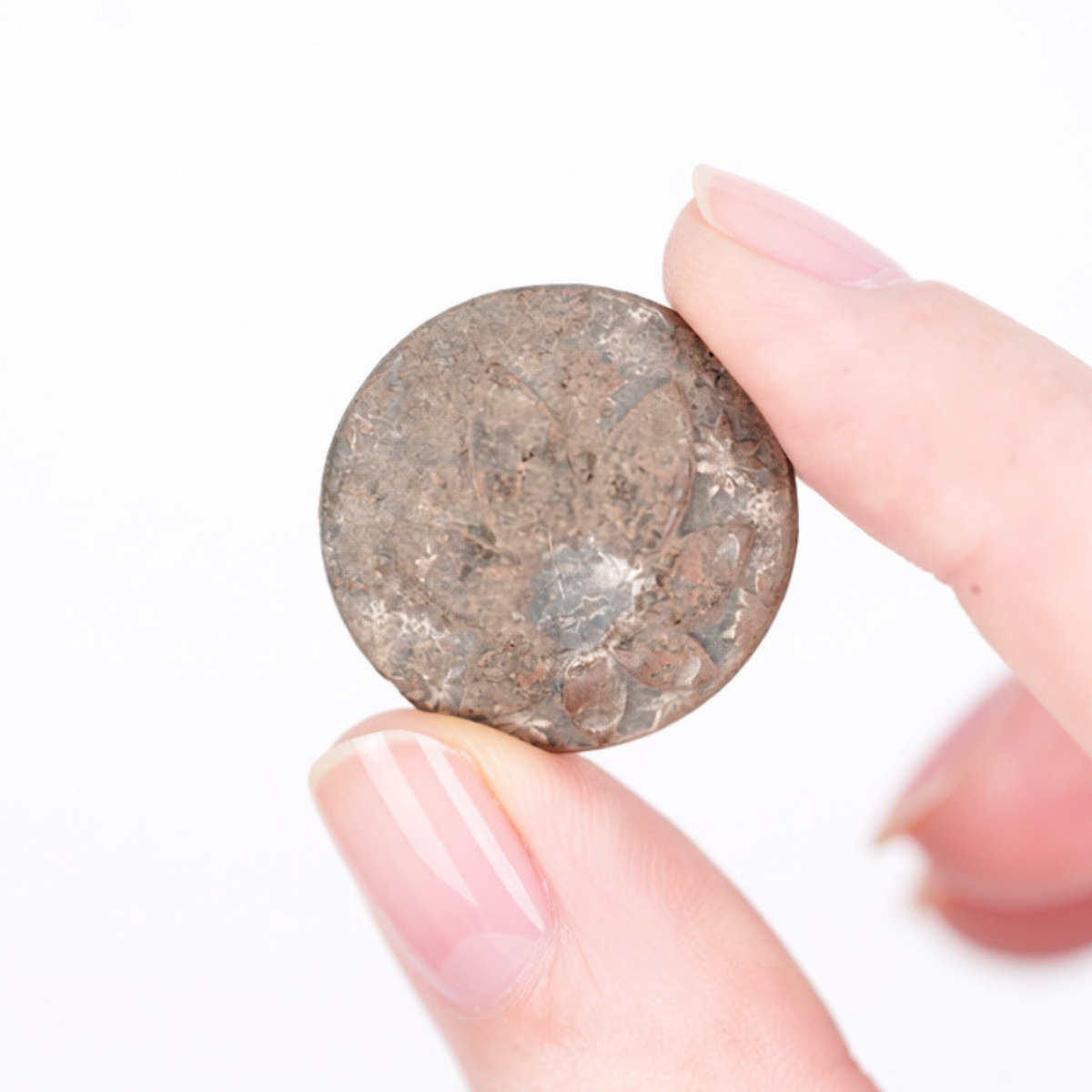 America Moves West Display - Early American Button
