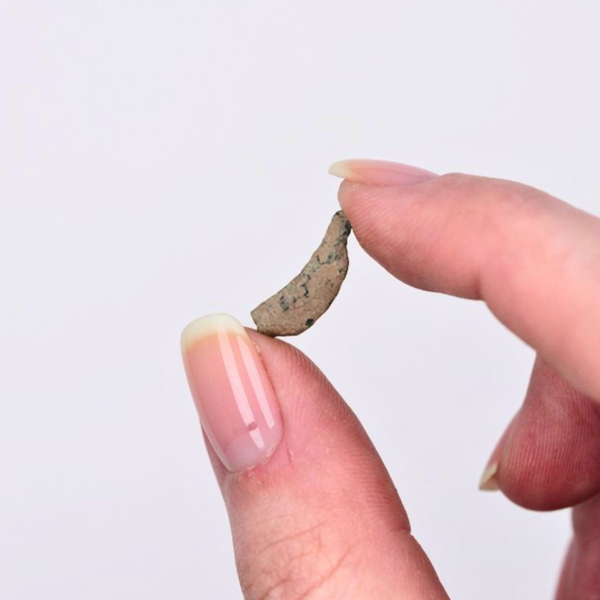 Ancient Greek "Leaping Dolphin" Coin Display